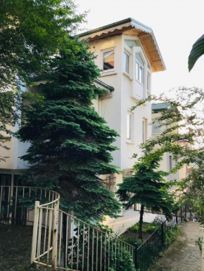 Отель VİLLA ATA ATAKENT  Pazarkapı